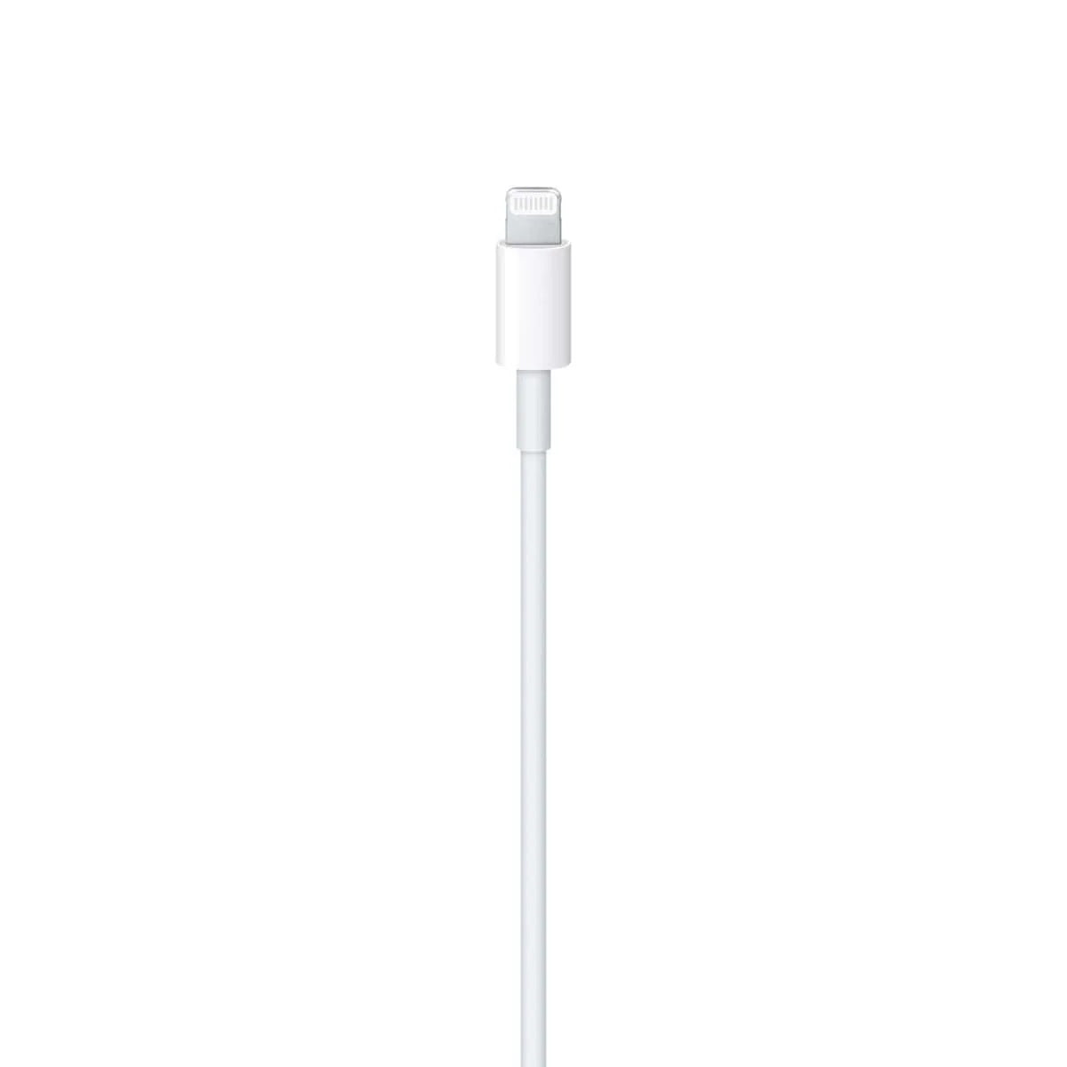USB-C to Lightning Cable